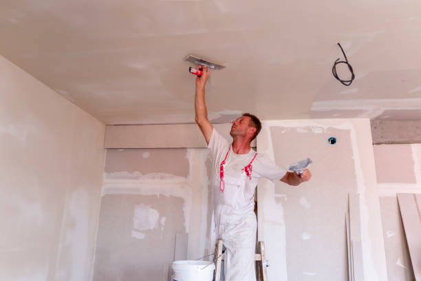 Professional Painting & Drywall Services in Mont Belvieu, TX